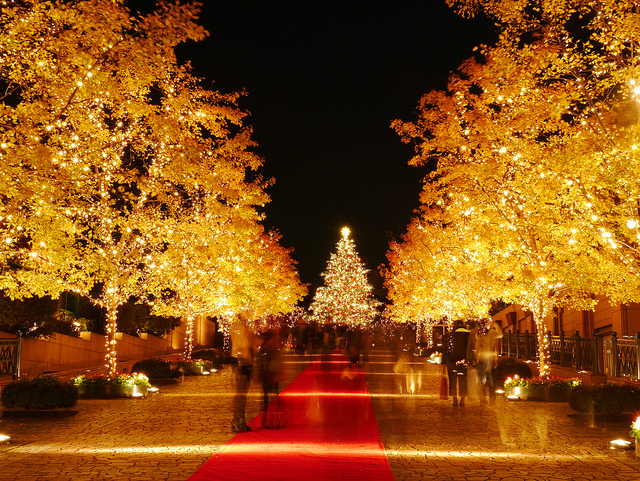 44c82b2e-e014-41d8-a34d-1ef0da50bd95