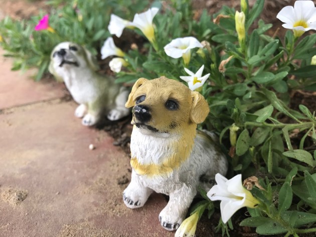 7BAA99E9-DA11-4D21-A5FF-8AD765DBAC57