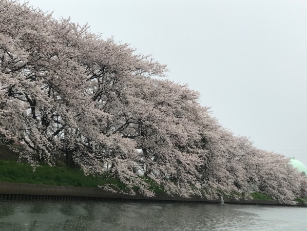 A36B82FD-EB2E-432D-AAF3-A0352CFB6CAD