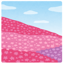 flower_shibazakura